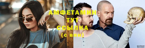 мдпв Бикин