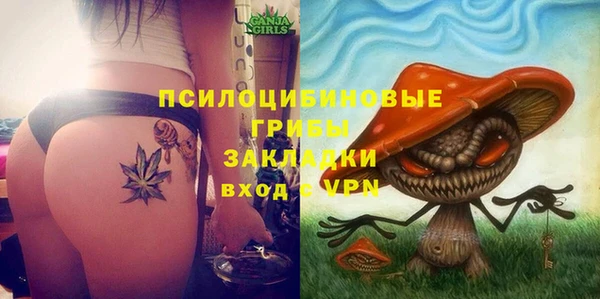 трава Покачи