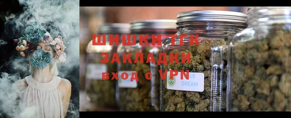 apvp Билибино