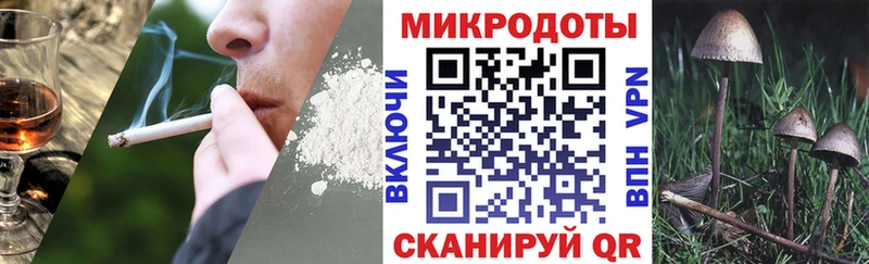 Псилоцибиновые грибы Psilocybine cubensis  Орехово-Зуево 